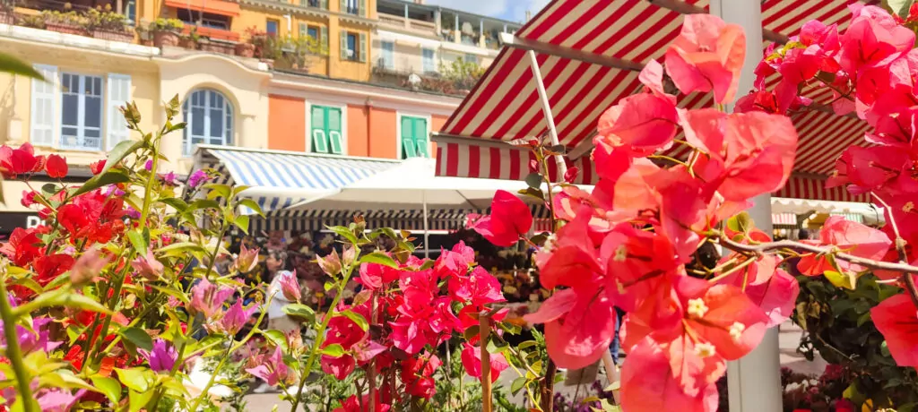 Flower Market in Cours Saleya