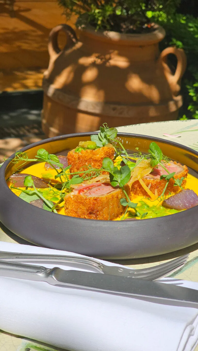 The new summer menu of Le Patio